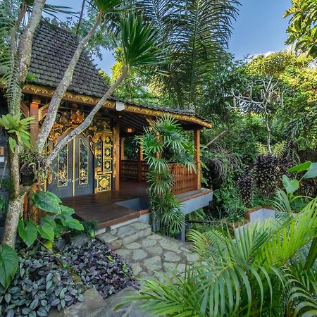 Parvati Retreat Villas Ουμπούντ Εξωτερικό φωτογραφία