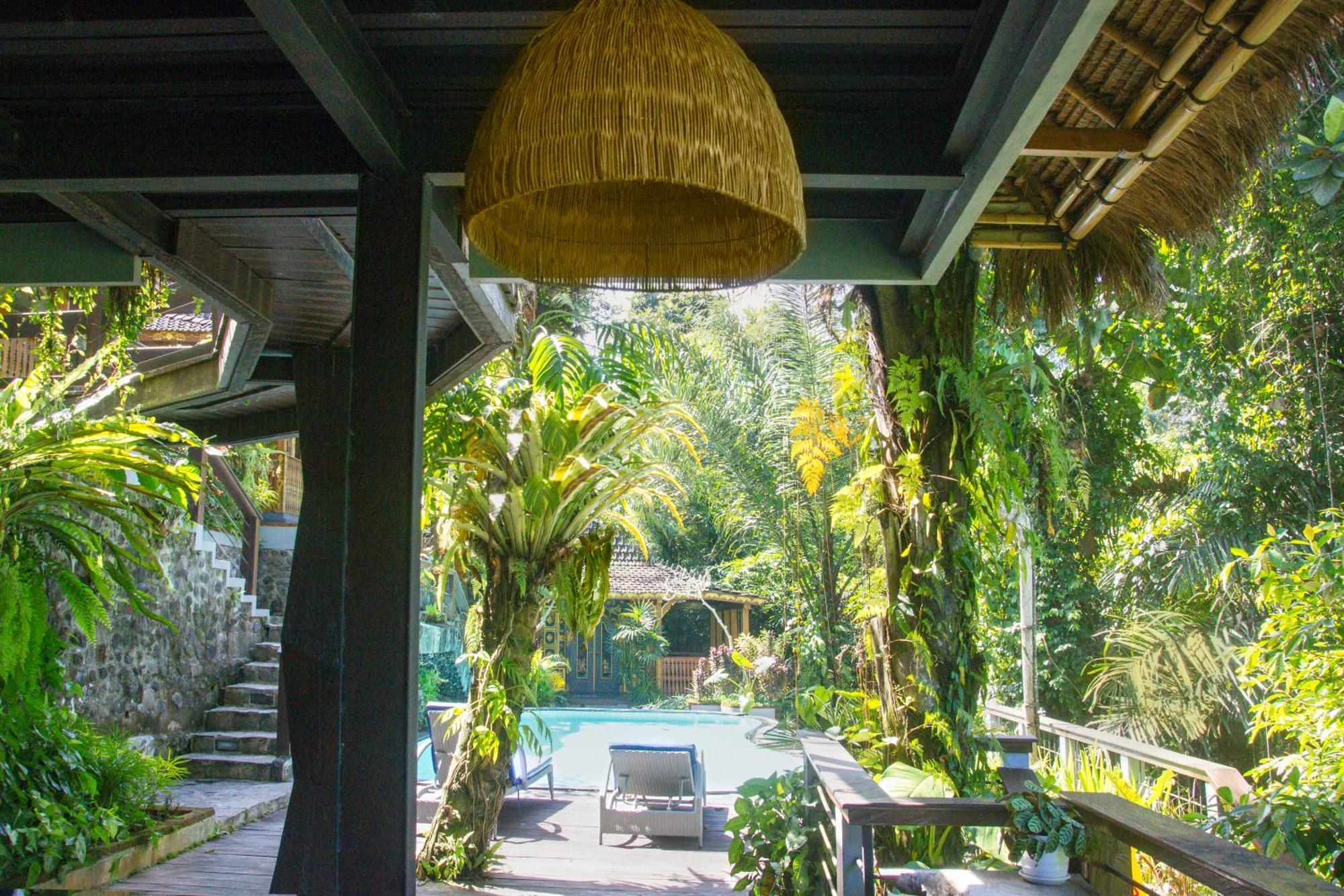 Parvati Retreat Villas Ουμπούντ Εξωτερικό φωτογραφία